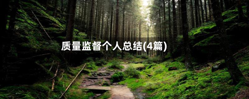 质量监督个人总结(4篇)