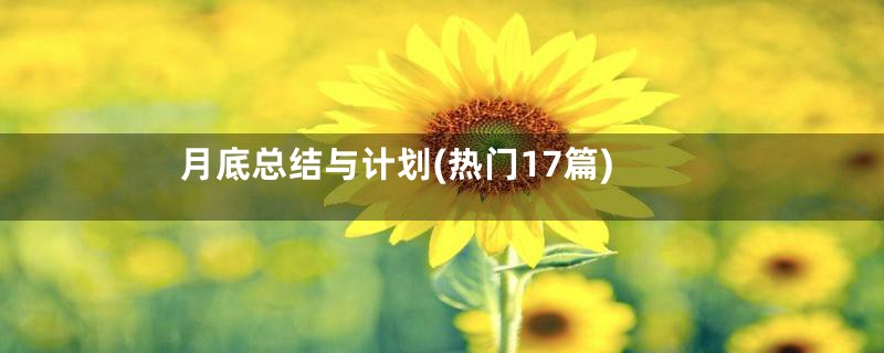 月底总结与计划(热门17篇)
