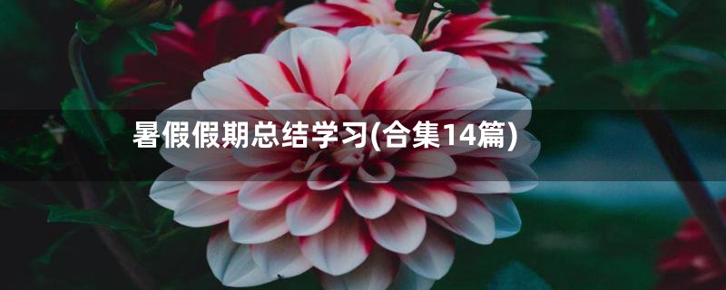 暑假假期总结学习(合集14篇)