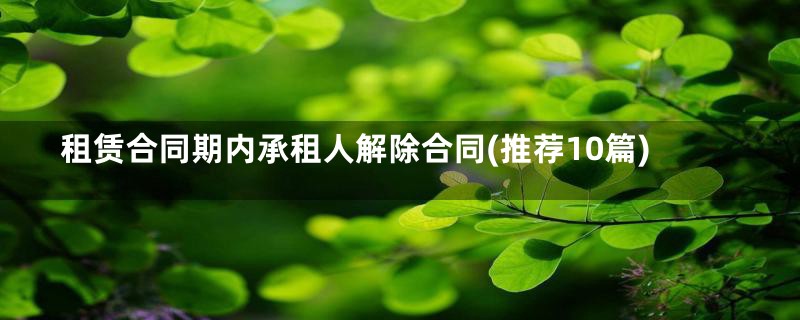 租赁合同期内承租人解除合同(推荐10篇)
