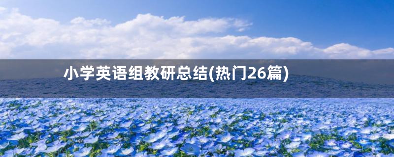 小学英语组教研总结(热门26篇)