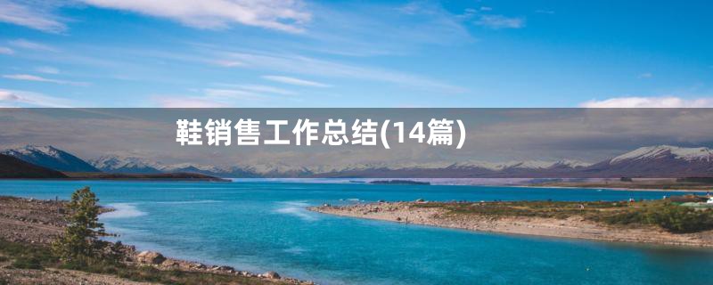 鞋销售工作总结(14篇)
