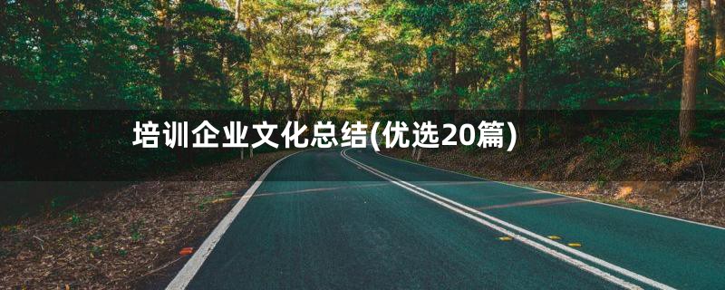 培训企业文化总结(优选20篇)