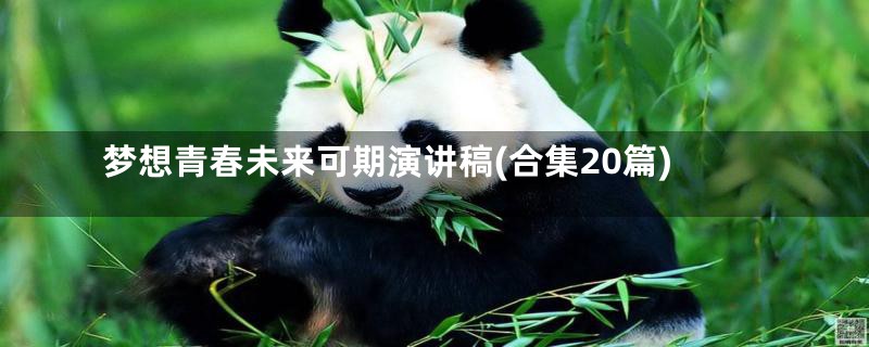 梦想青春未来可期演讲稿(合集20篇)