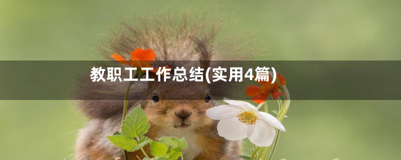 教职工工作总结(实用4篇)