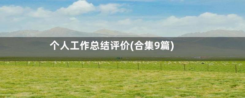 个人工作总结评价(合集9篇)