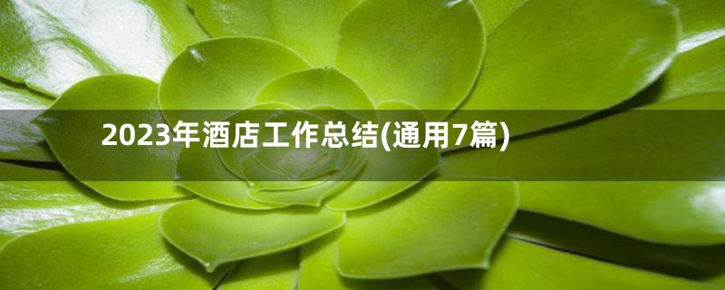2023年酒店工作总结(通用7篇)