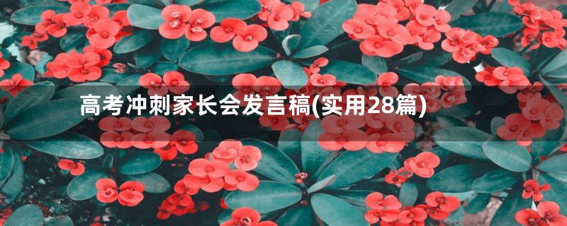 高考冲刺家长会发言稿(实用28篇)