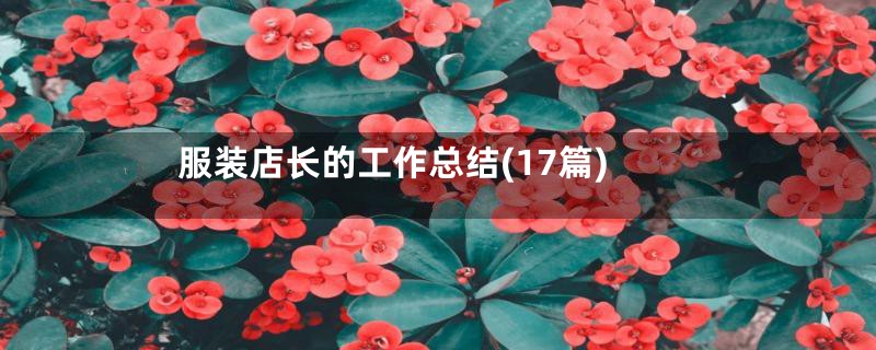 服装店长的工作总结(17篇)
