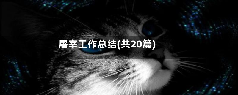 屠宰工作总结(共20篇)