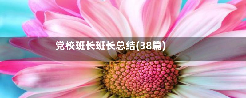 党校班长班长总结(38篇)