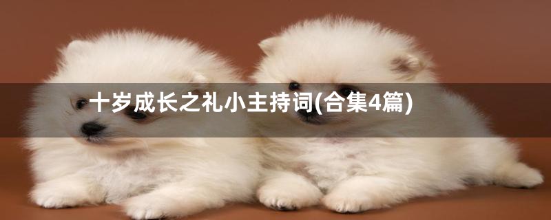 十岁成长之礼小主持词(合集4篇)