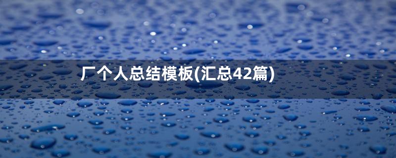 厂个人总结模板(汇总42篇)