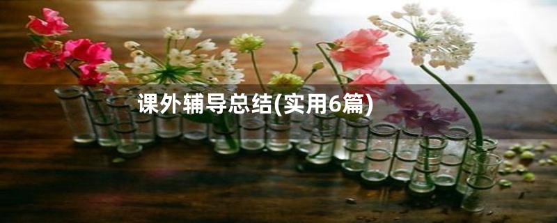 课外辅导总结(实用6篇)