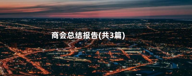 商会总结报告(共3篇)