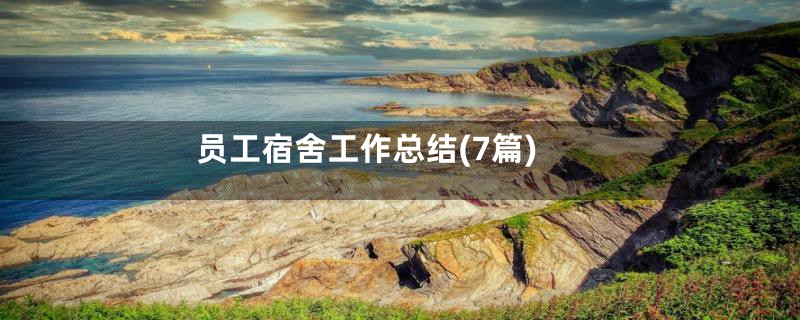 员工宿舍工作总结(7篇)