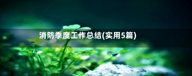 消防季度工作总结(实用5篇)