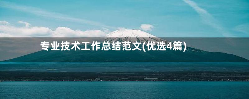 专业技术工作总结范文(优选4篇)