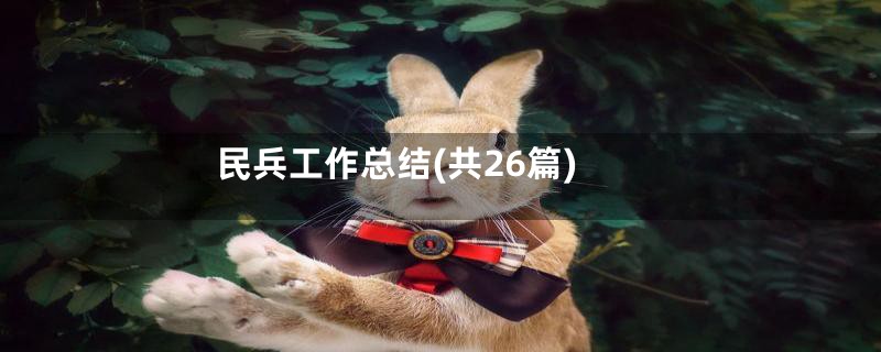 民兵工作总结(共26篇)