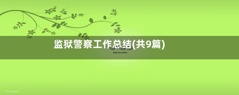 监狱警察工作总结(共9篇)