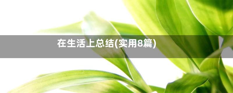 在生活上总结(实用8篇)