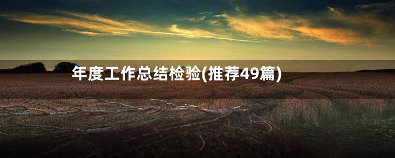 年度工作总结检验(推荐49篇)