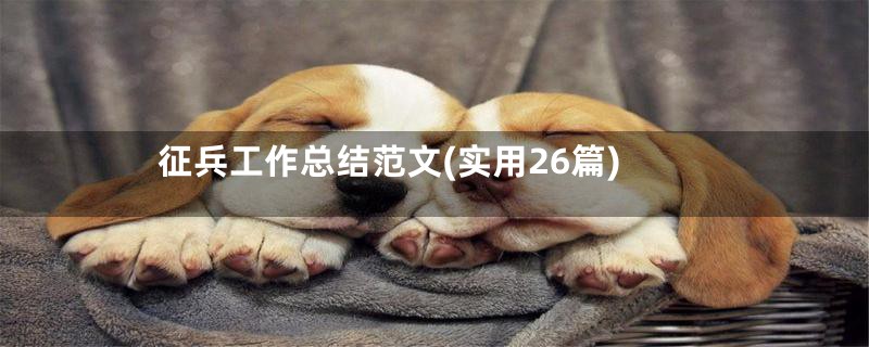 征兵工作总结范文(实用26篇)