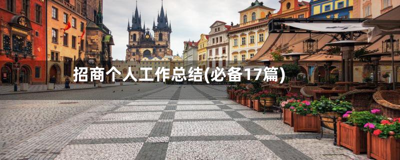 招商个人工作总结(必备17篇)