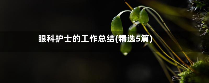 眼科护士的工作总结(精选5篇)
