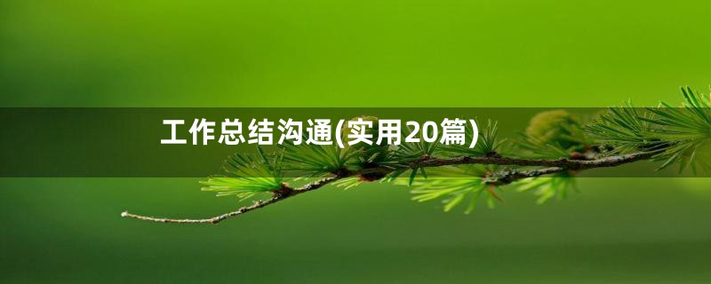 工作总结沟通(实用20篇)