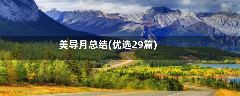 美导月总结(优选29篇)