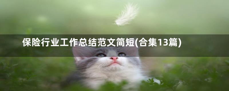 保险行业工作总结范文简短(合集13篇)