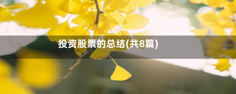 投资股票的总结(共8篇)