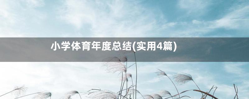 小学体育年度总结(实用4篇)