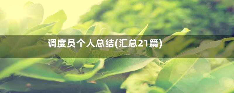 调度员个人总结(汇总21篇)