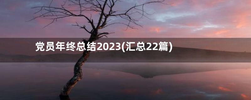 党员年终总结2023(汇总22篇)