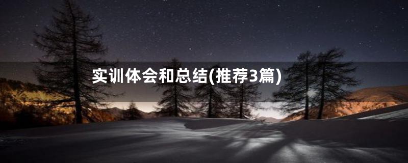 实训体会和总结(推荐3篇)
