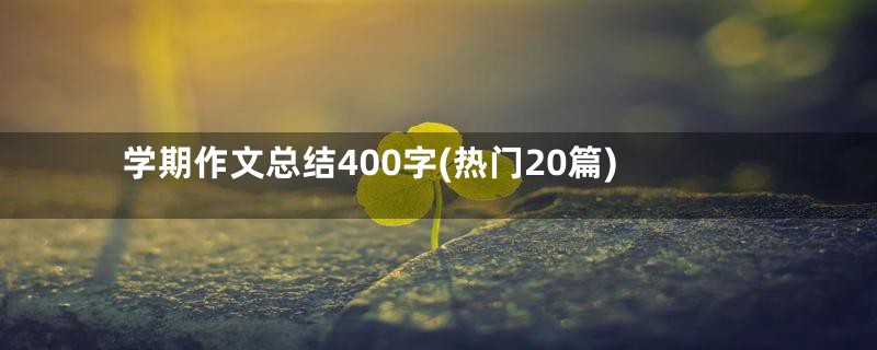 学期作文总结400字(热门20篇)