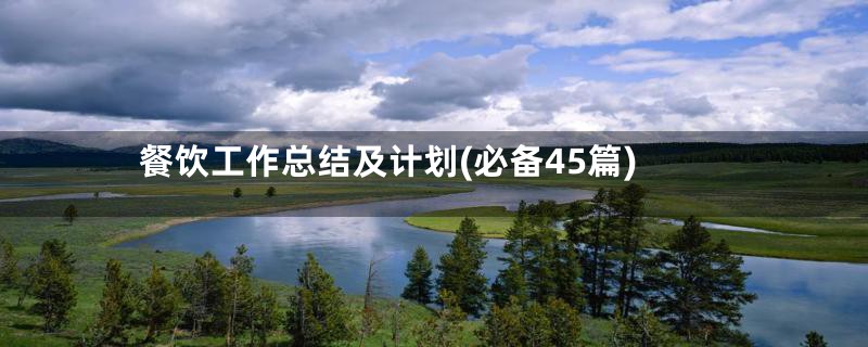 餐饮工作总结及计划(必备45篇)