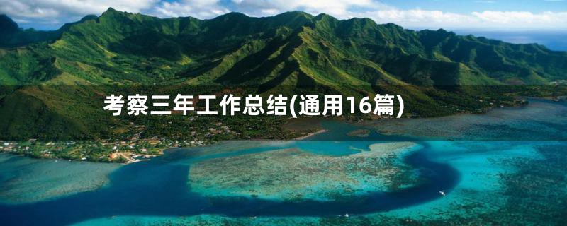考察三年工作总结(通用16篇)