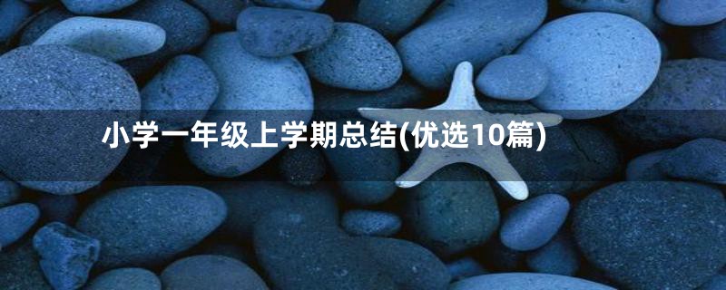小学一年级上学期总结(优选10篇)