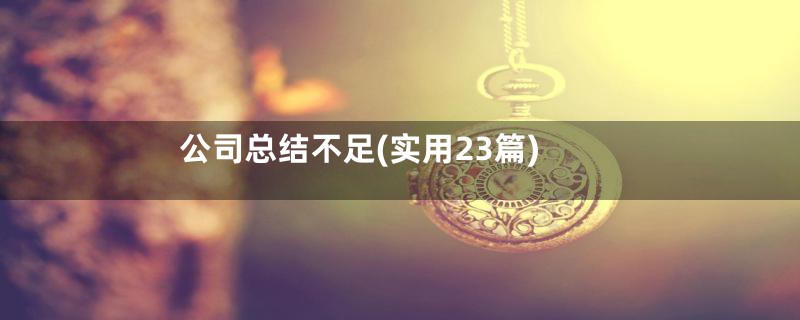 公司总结不足(实用23篇)