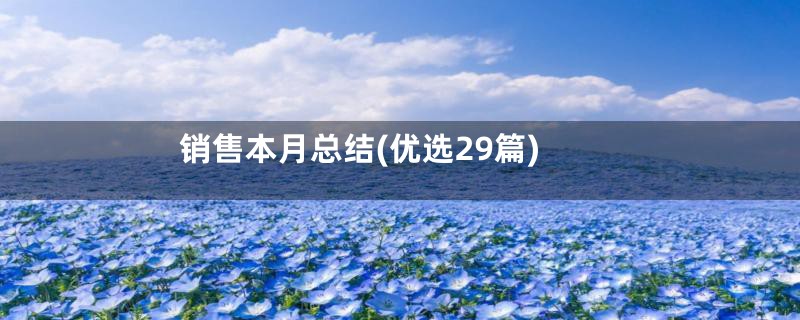 销售本月总结(优选29篇)