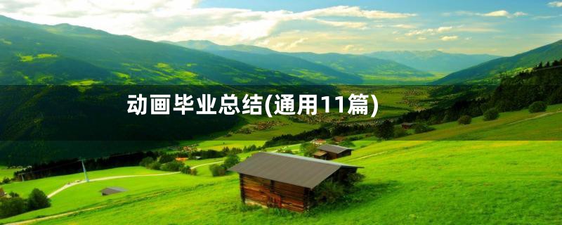 动画毕业总结(通用11篇)