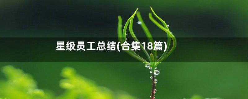 星级员工总结(合集18篇)