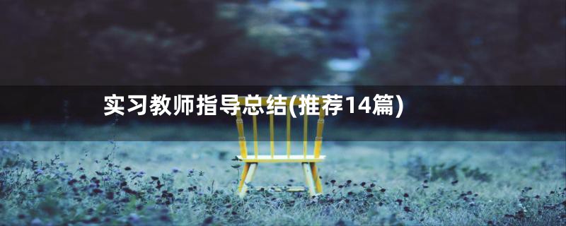 实习教师指导总结(推荐14篇)