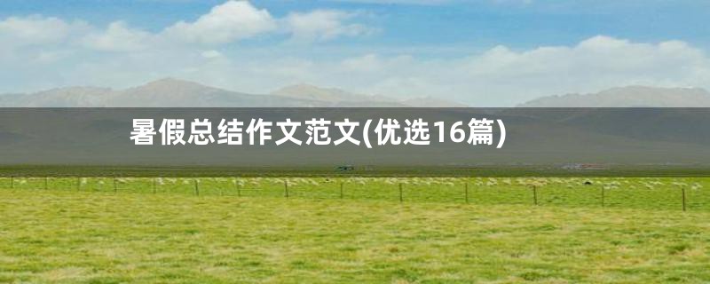 暑假总结作文范文(优选16篇)