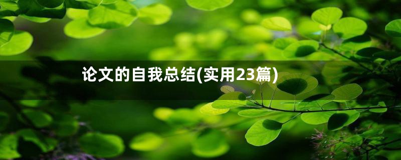 论文的自我总结(实用23篇)