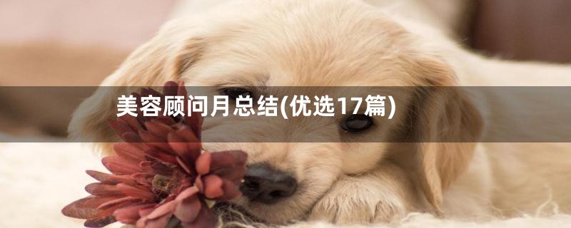 美容顾问月总结(优选17篇)