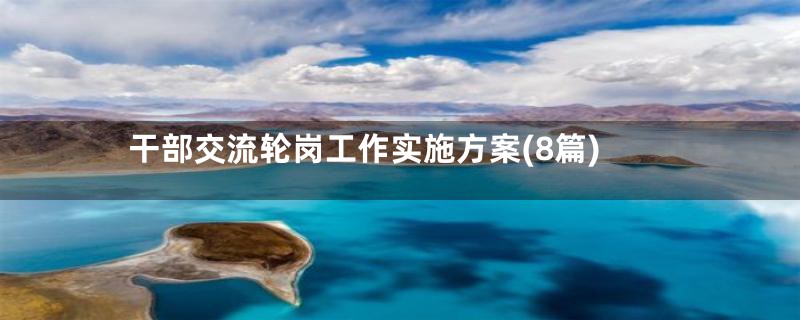 干部交流轮岗工作实施方案(8篇)